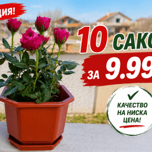 Промоция 10 броя Квадратна пластмасова саксия 2,5 литра за цветя керемида с подложка